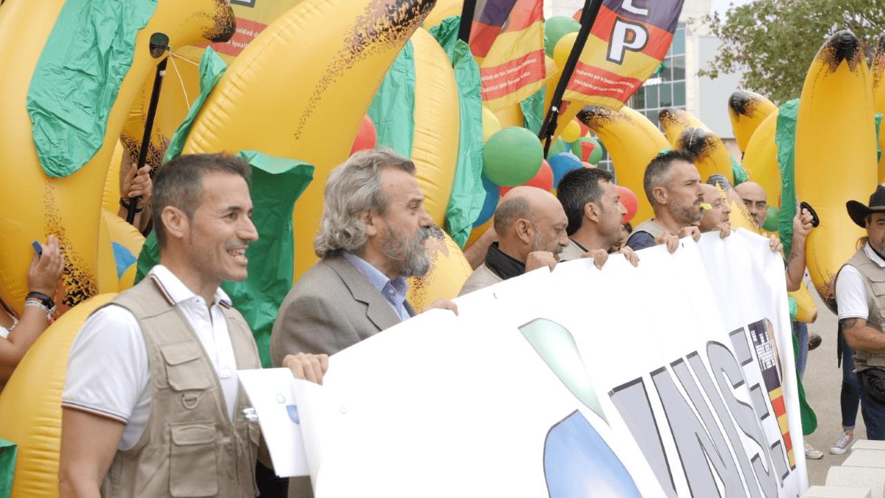 whatsapp-image-2026-01-19-at-09.36.44--1-